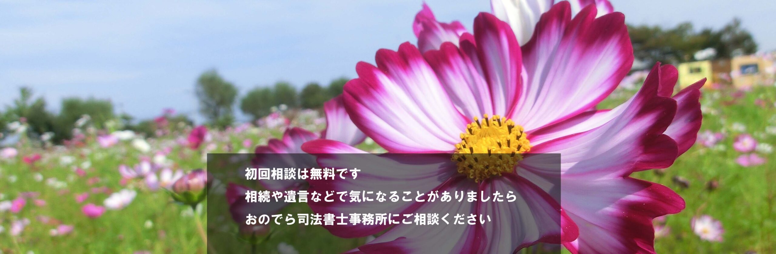 初回相談は無料です。相続や遺言などで気になることがありましたらおのでら司法書士事務所にご相談ください。